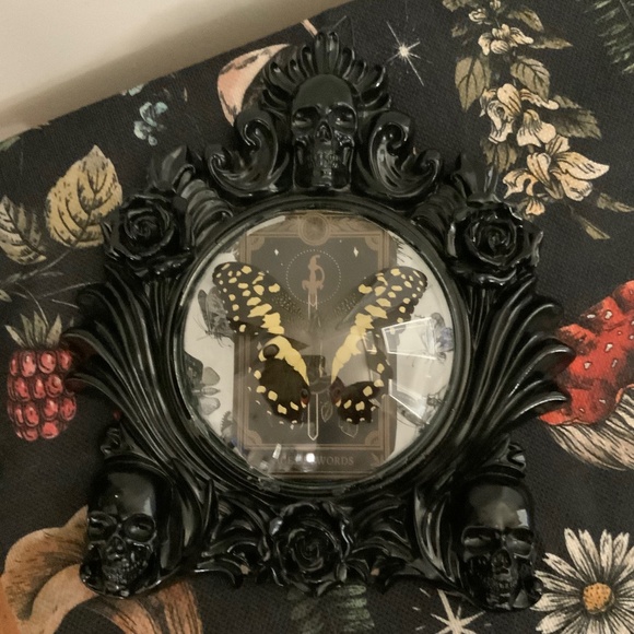Gothic frame, butterfly oddity - Picture 1 of 2